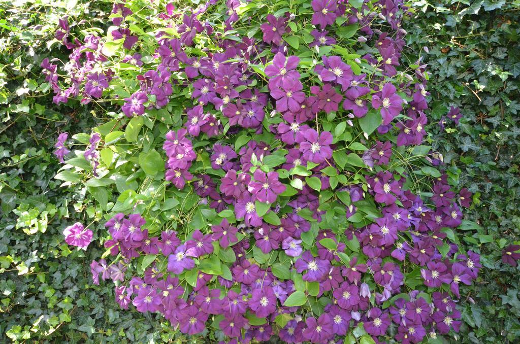 Bloemenhoeve Panzió Birdaard Kültér fotó